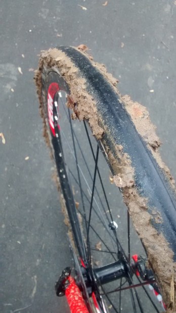 IMG_20151225_145132279